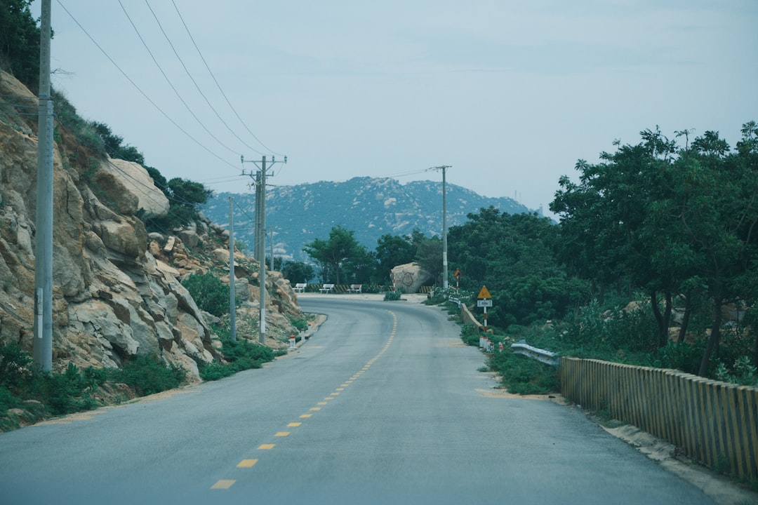 Global Context and the Road Ahead