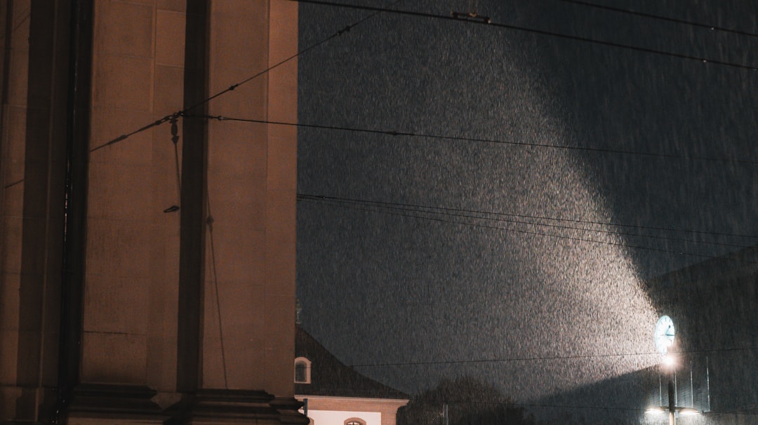 Victims and Their Stories