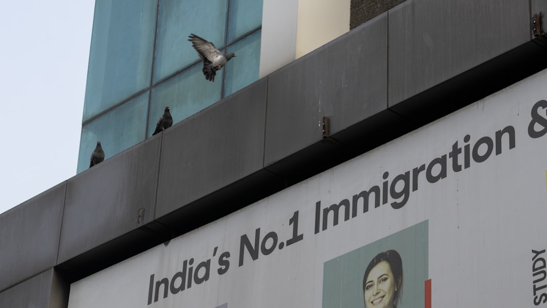 The Role of Whistles in the Immigration Debate