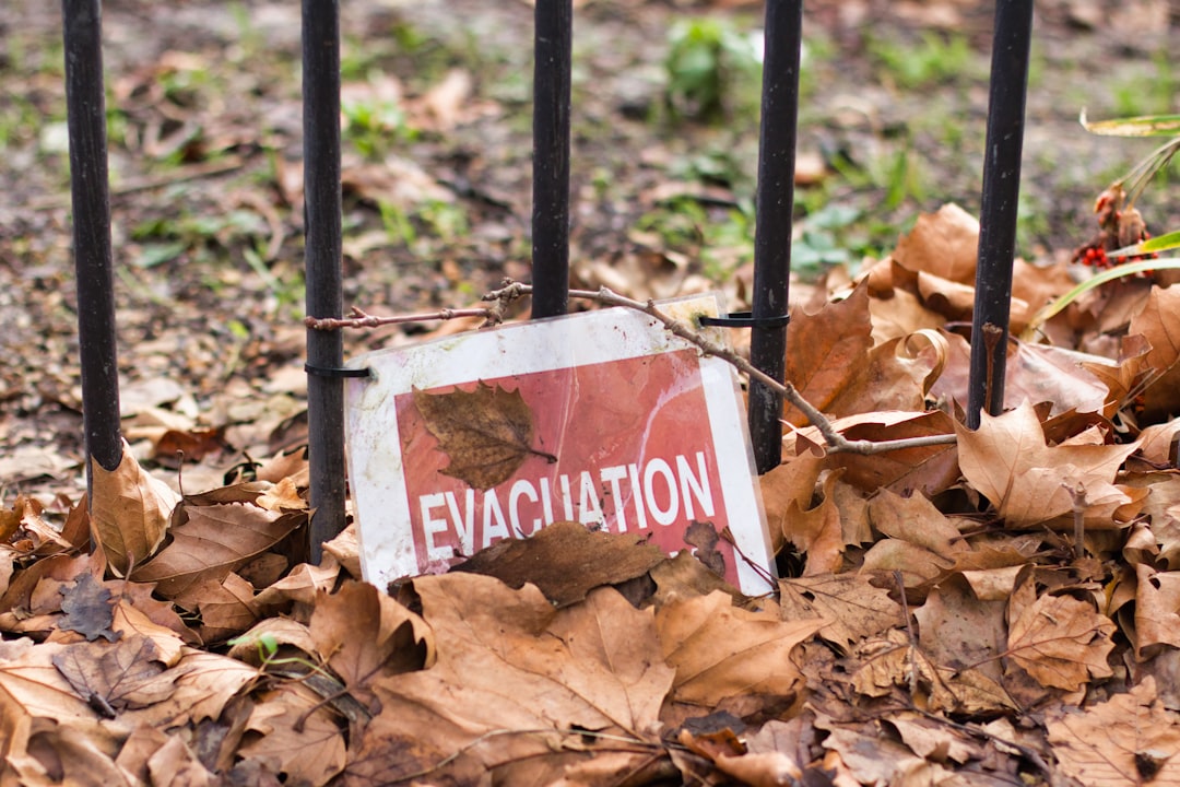 Global Ramifications and Evacuations