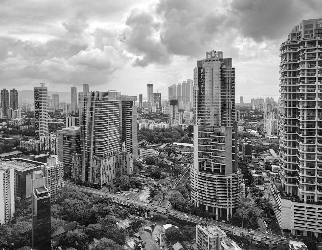 The Rise of the Black Market