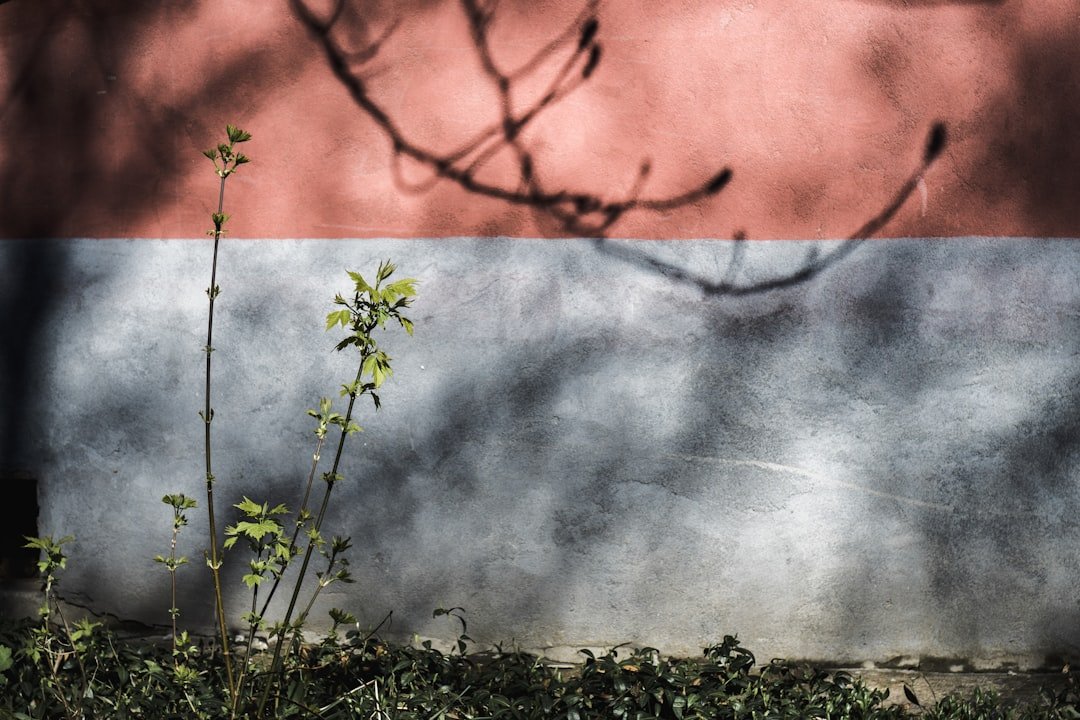 The Growing Threat of Militancy