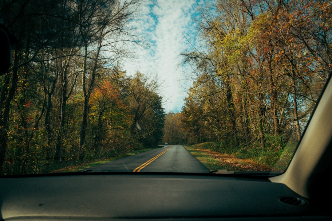 The Road Ahead: Navigating Economic Challenges