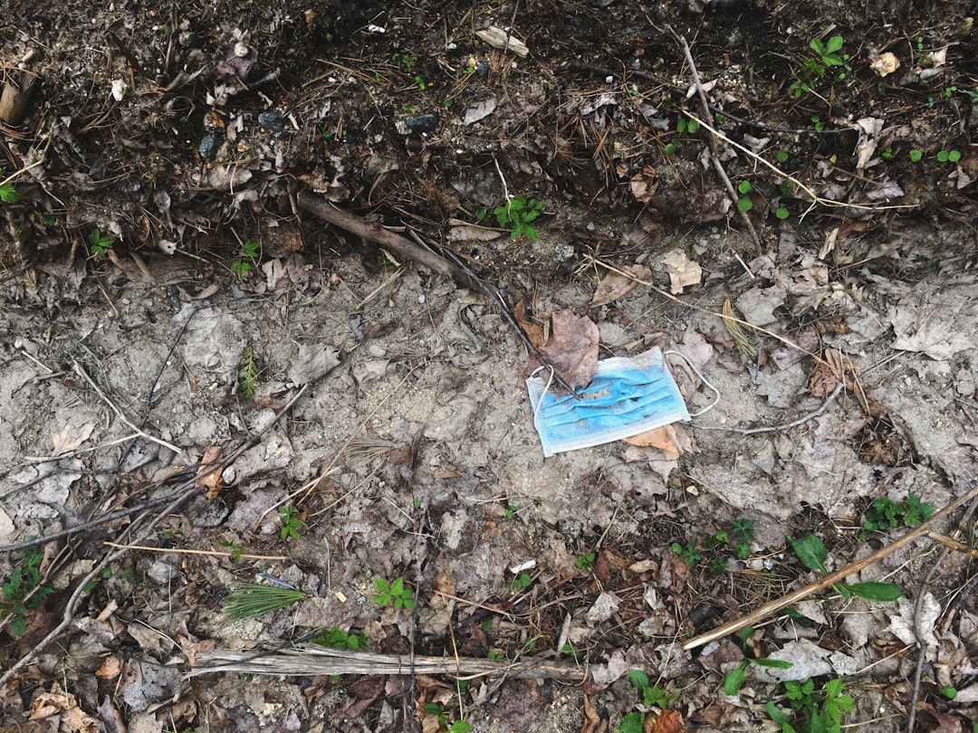 Forensic Findings Reveal the Truth