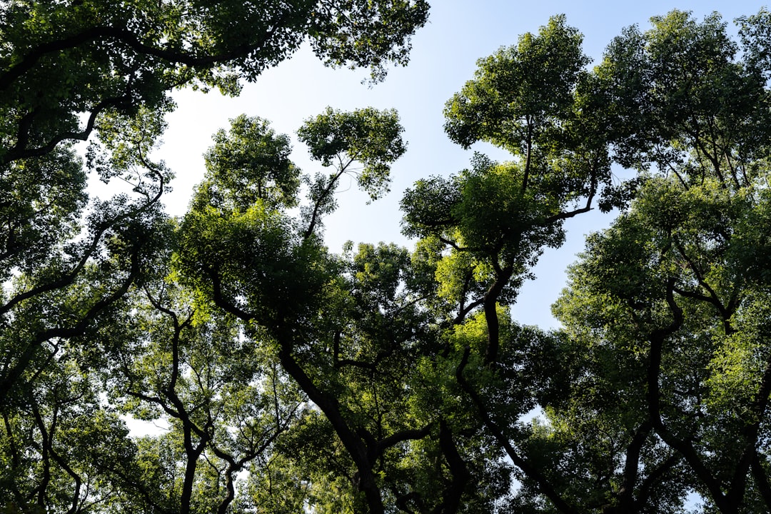 Ecological Restoration Goals