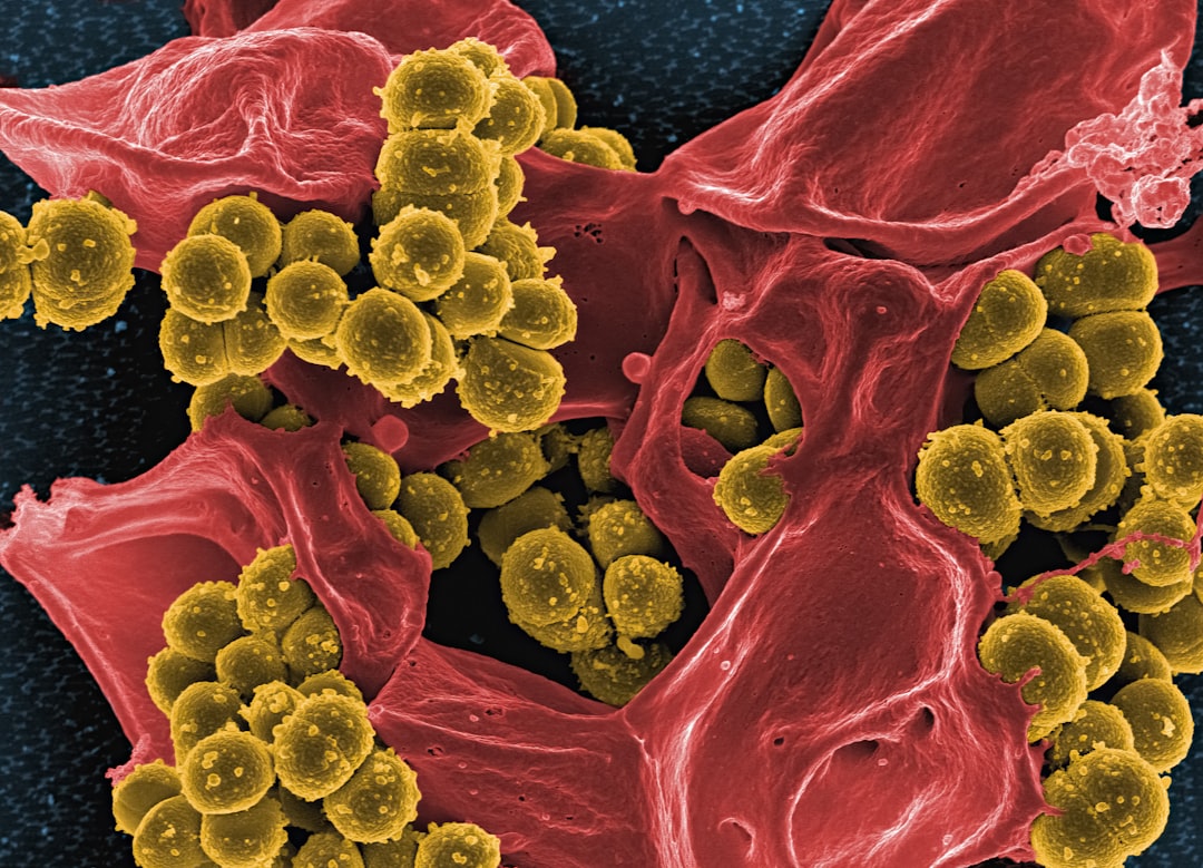 Rethinking Probiotics and Gut Microbes