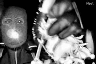 nat-guthrie-doorbell-01-twjg-mediumSquareAt3X