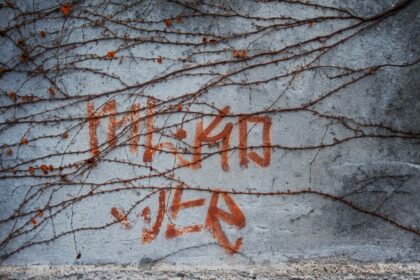 photo-1517849012774-de2694f83b9f-1