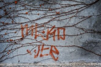 photo-1517849012774-de2694f83b9f