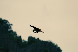 photo-1568691452405-99cbf704e978-1