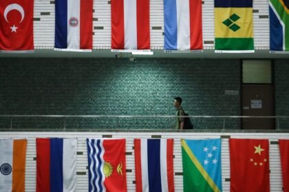 photo-1595419374506-2fb588f450cb