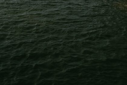 photo-1610306674337-95ca1ef35229-1