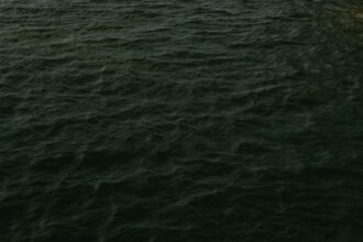 photo-1610306674337-95ca1ef35229