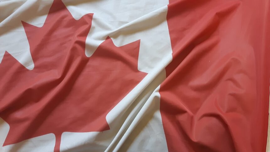 photo-1613512504421-c2664b74653b