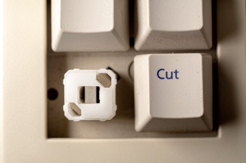 photo-1614291245197-113572edd37e