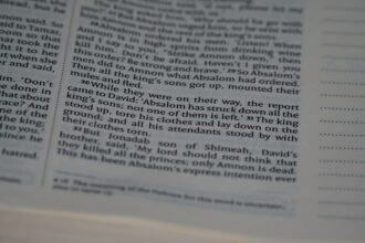 photo-1617864893120-335eaa665eb7