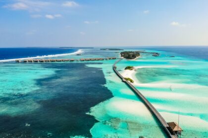 photo-1618986114747-4f51c8ca11cc