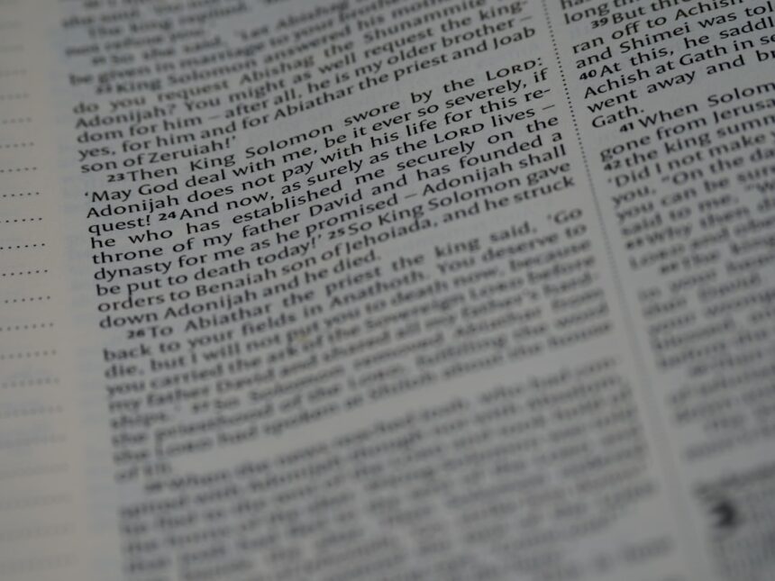 photo-1620023343061-d814dd3742b3-1