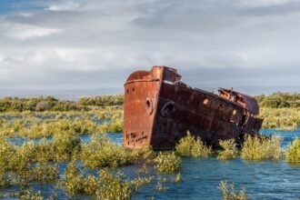 photo-1626736330250-d51c4f50aee9