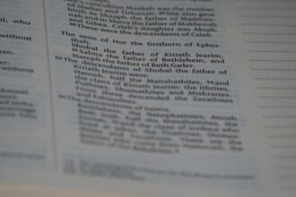 photo-1628582453226-a0027de09af1