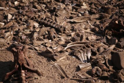 photo-1645871588182-fc697624be3d