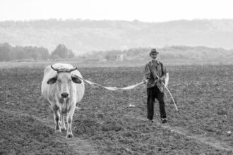 photo-1665078913228-f9b1c43f750f-3