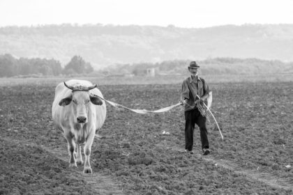 photo-1665078913228-f9b1c43f750f-3