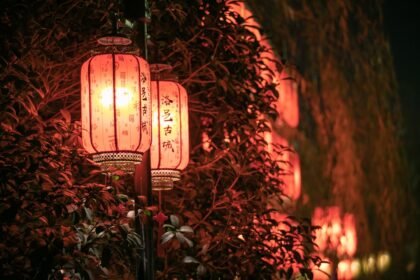 photo-1672834884716-1d27c50e747a