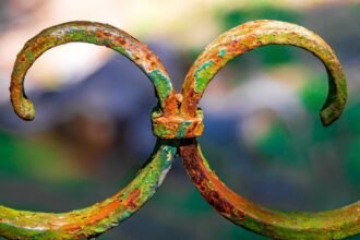 photo-1681694826399-12f40b0f3e44