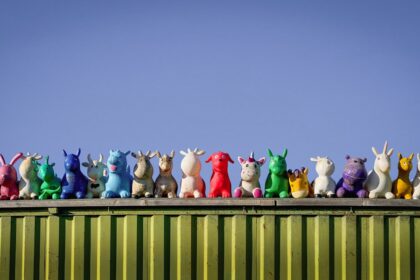 photo-1700303677481-26d63494e9a1