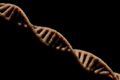 photo-1704384091549-9e5fe97b515c