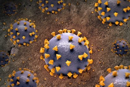 photo-1706638794486-678a4b9bde71-1