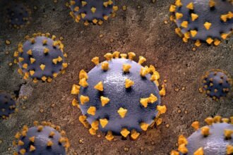 photo-1706638794486-678a4b9bde71