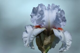 photo-1710191574013-f242850c1a6a