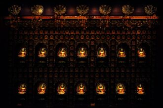 photo-1719852731186-1f83b24d433a