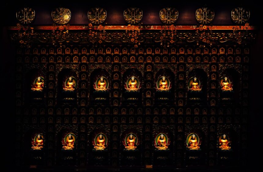 photo-1719852731186-1f83b24d433a