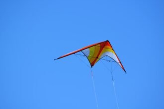 photo-1727190559029-9b024bbf0812