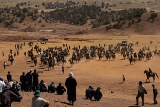 photo-1730809019105-93dd32dd803b