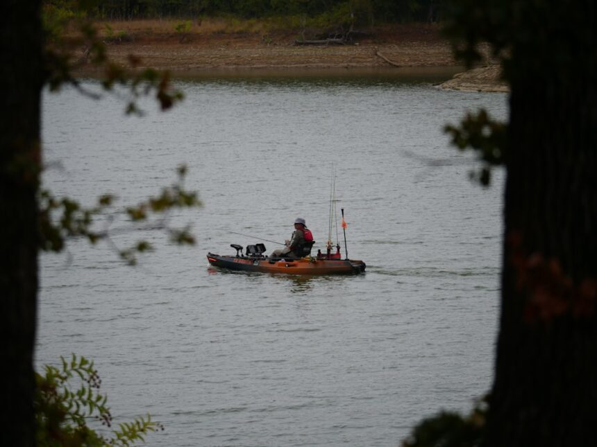 photo-1734491083596-ead67e6c82bd