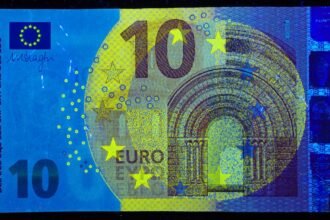 photo-1736338899988-462fd85a9086