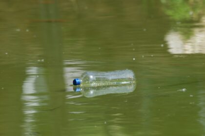 photo-1759868411143-aec66f57d370