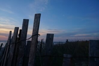 photo-1761162474804-834967ceeb32