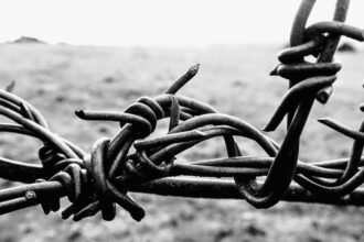 photo-1765902880696-7272a8563045