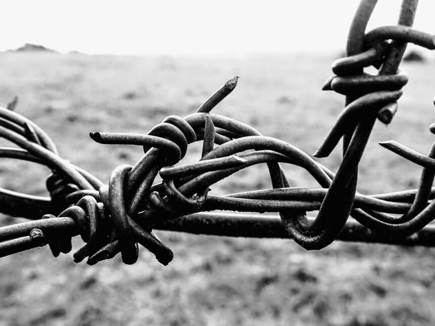 photo-1765902880696-7272a8563045