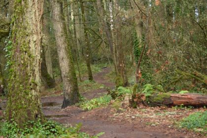 photo-1767474616172-da4266ed80c1