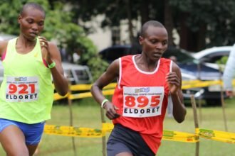 photo-1769714523801-da9c206226fd