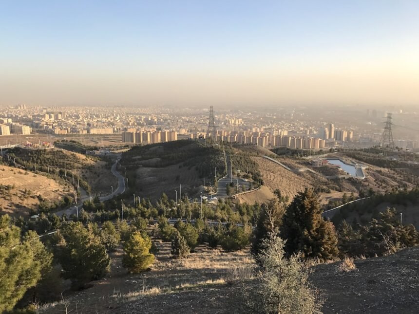 Photo by Poorya Ghelichkhani on Unsplash