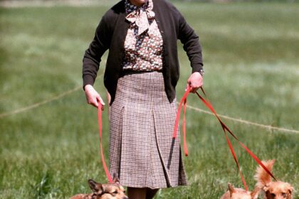 09074637-cf1bd827-ad06-49ba-829e-7e70b1f891b7