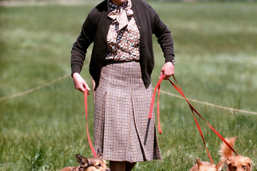 09074637-cf1bd827-ad06-49ba-829e-7e70b1f891b7