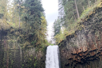 14xp-falls-fwgl-mediumSquareAt3X-2